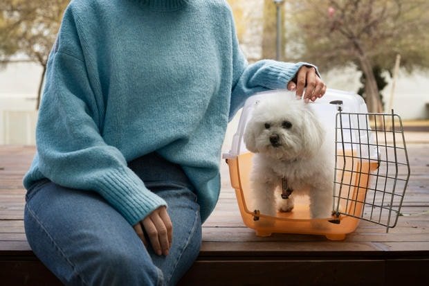 Pet Relocations